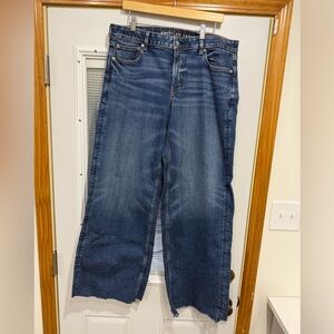 American Eagle Outfitters Dark Blue Denim Low-Rise Jeans